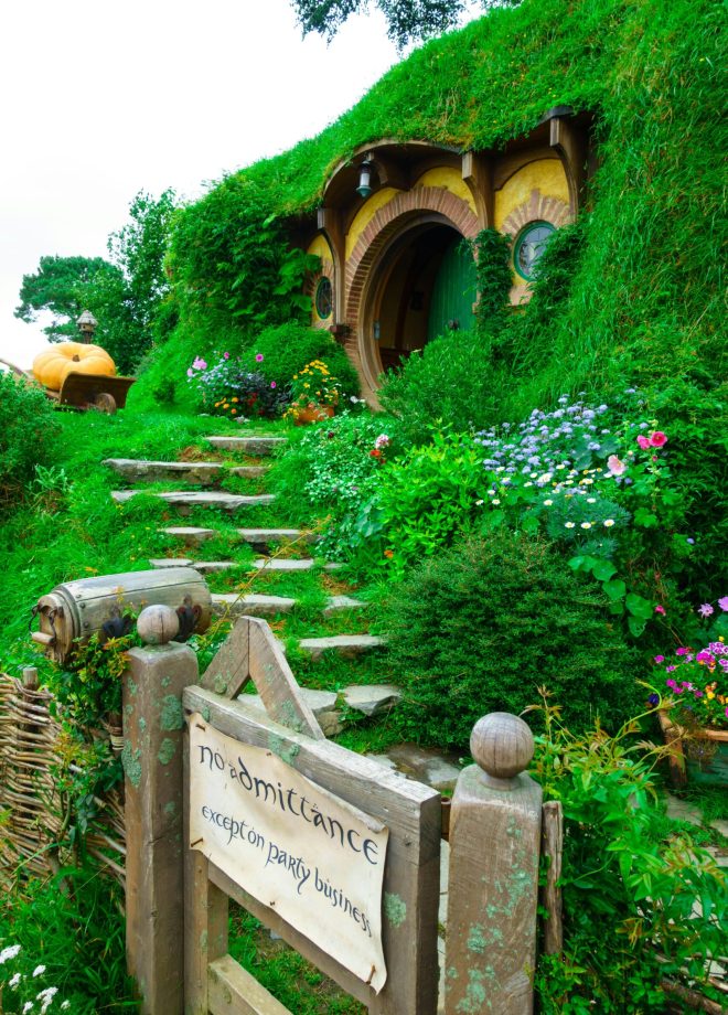 mike-swigunski-CppuxXh6nxE-unsplash - Copy